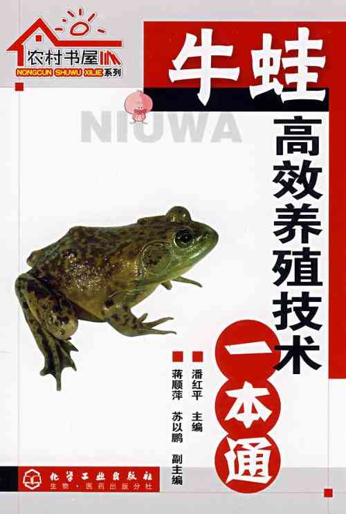 高效创作伴侣——蛙蛙写作官方网站