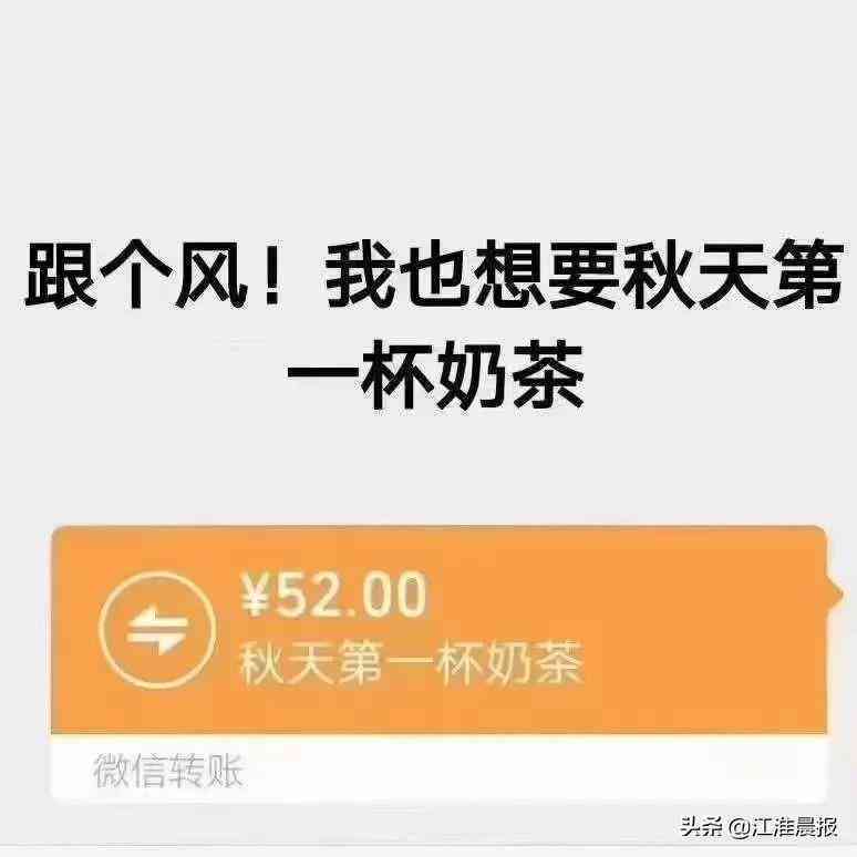 爆笑集结！全方位搞笑照片文案汇编，解决你所有关于幽默图片的需求