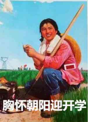 爆笑集结！全方位搞笑照片文案汇编，解决你所有关于幽默图片的需求
