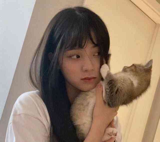 免费文案创作工具盘点：探索高效在线写文案软件列表
