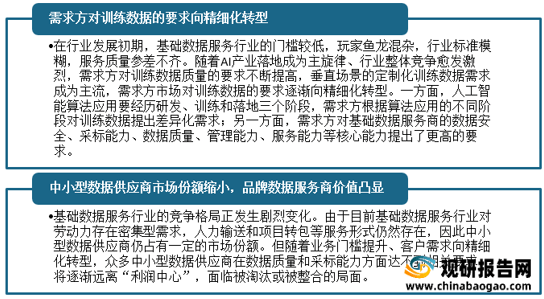 2024年中国AI数据服务行业全景报告：市场趋势、技术进展与解决方案深度解析