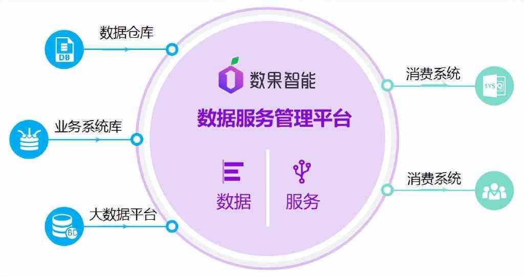 AI数据服务商：提供基础数据服务、数据平台API与数据中心支持