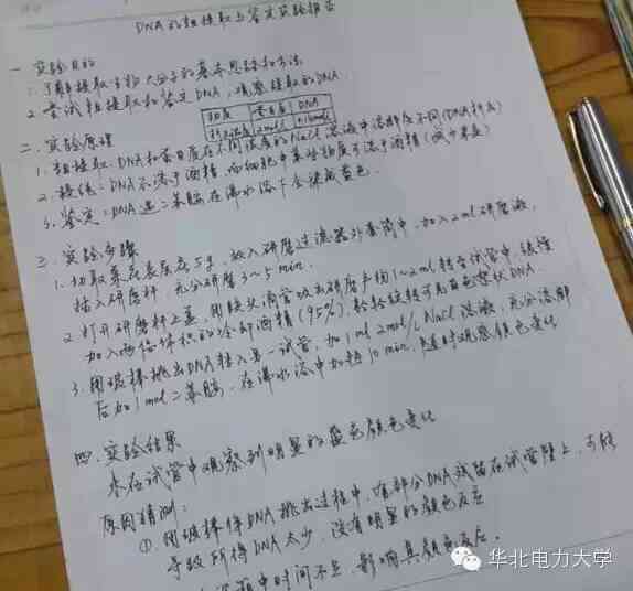 全面指南：实验报告撰写范例及常见问题解答与技巧分享