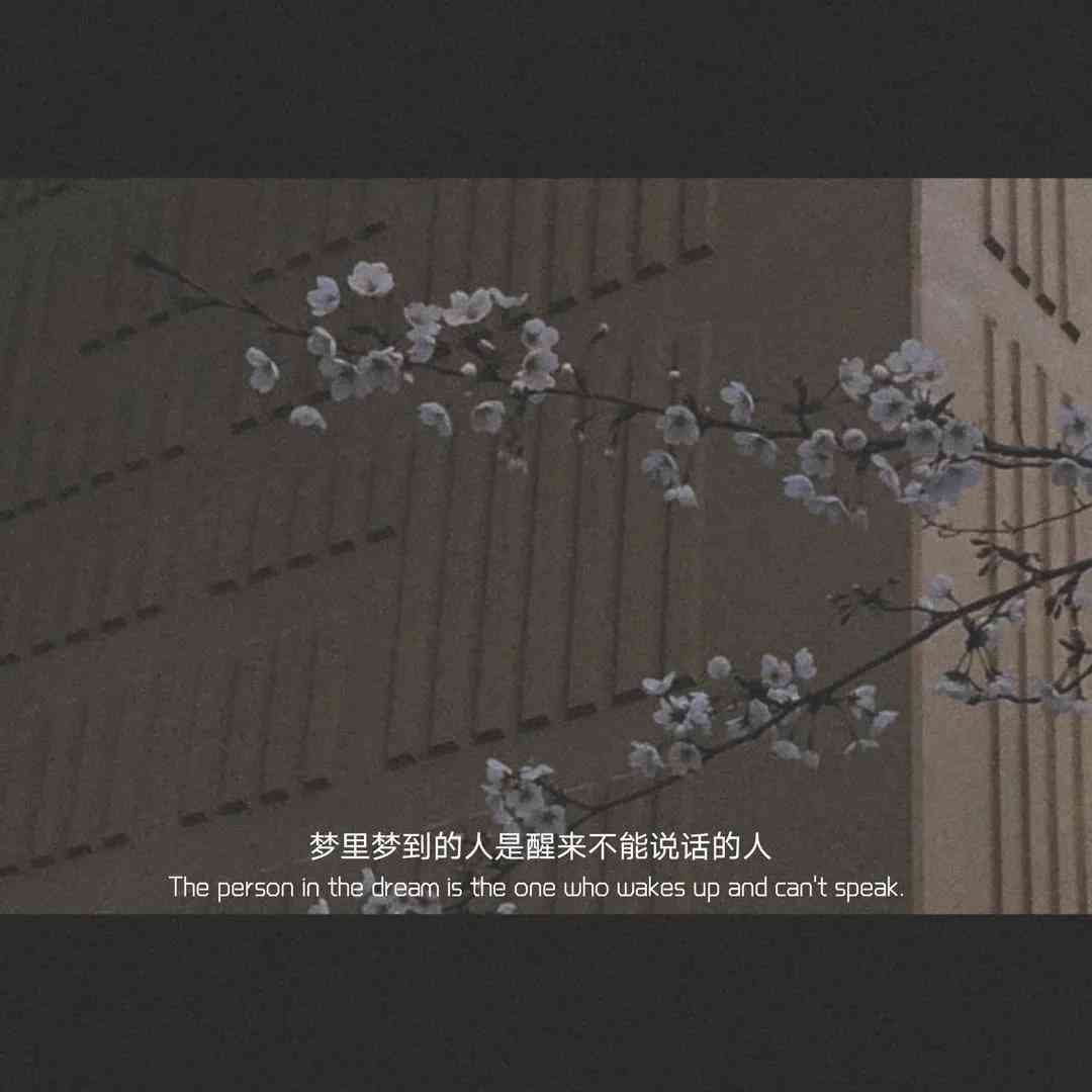 说爱的文案短句：伤感表白与爱的深情短语