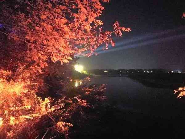 '春攻势，松鼠AI智能教育全新招生——赋能未来，领跑学新潮流'