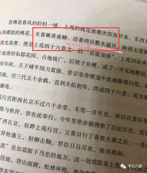 传作品是什么意思：含义、分类、文案撰写与案例解析