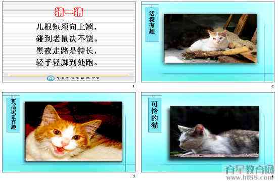 猫创作背景：作品简介与原声资料汇编