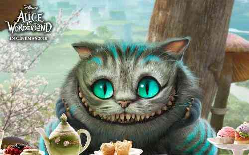 猫咪音乐奇缘：探秘猫创作的原声魅力