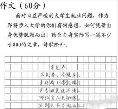 大学生写作：写作助手与作业本选择、写作大赛攻略、课堂心得及比赛盘点