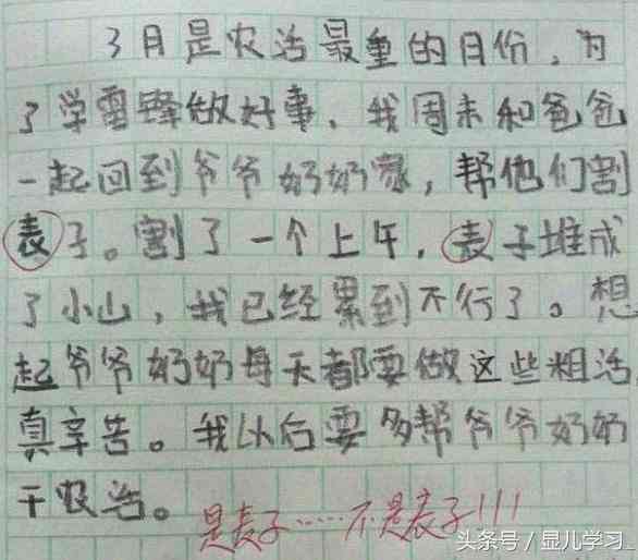 火龙果pitaya写作：如何撰写一篇500字火龙果作文