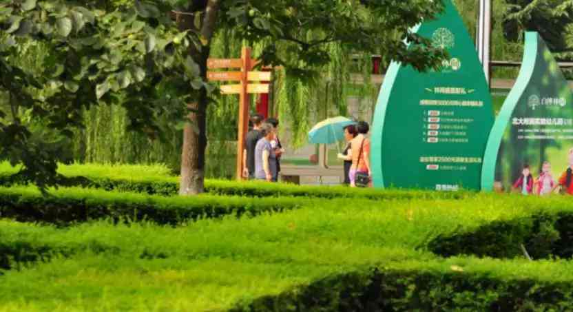 暴走ai创作网站：入口与使用教程