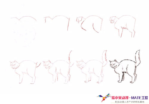 掌握二次元猫咪绘制技巧：详解动漫风格猫咪画法攻略