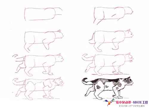 掌握二次元猫咪绘制技巧：详解动漫风格猫咪画法攻略