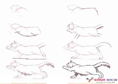 掌握二次元猫咪绘制技巧：详解动漫风格猫咪画法攻略