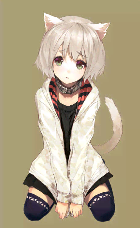 二维世界魅力猫咪插画：涵猫娘、猫耳少女、Q版猫咪等多种风格精选集
