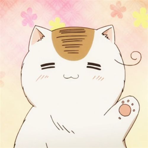 二次元猫咪可爱：头像表情包大全
