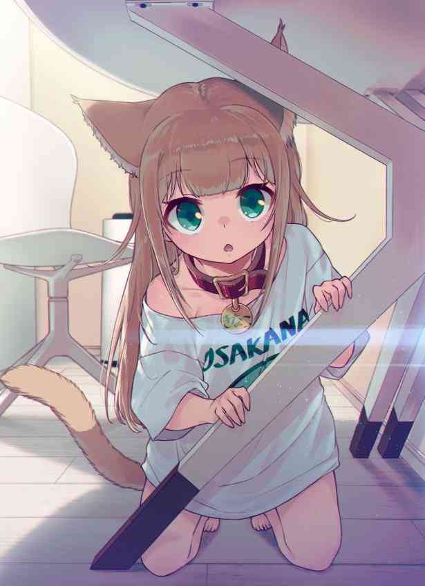 二维世界魅力猫咪插画：涵猫娘、猫耳少女、Q版猫咪等多种风格精选集