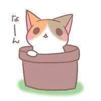二次元猫咪可爱：头像表情包大全
