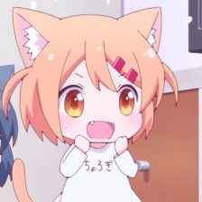 二次元猫咪可爱：头像表情包大全