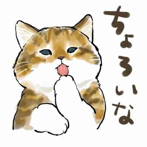 二次元猫咪可爱：头像表情包大全
