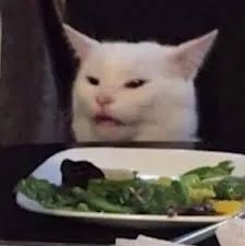 全面收录：二次元猫咪表情包大     ，满足你所有猫咪表情需求