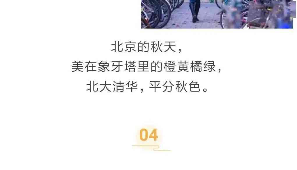探索年回忆：朋友圈中的经典年照片大盘点与情感分享