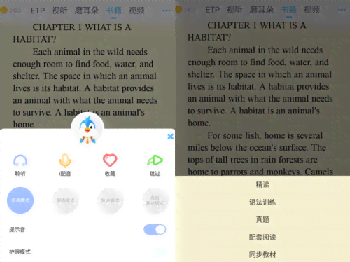 智能英语续写辅助：盘点热门AI作文软件工具