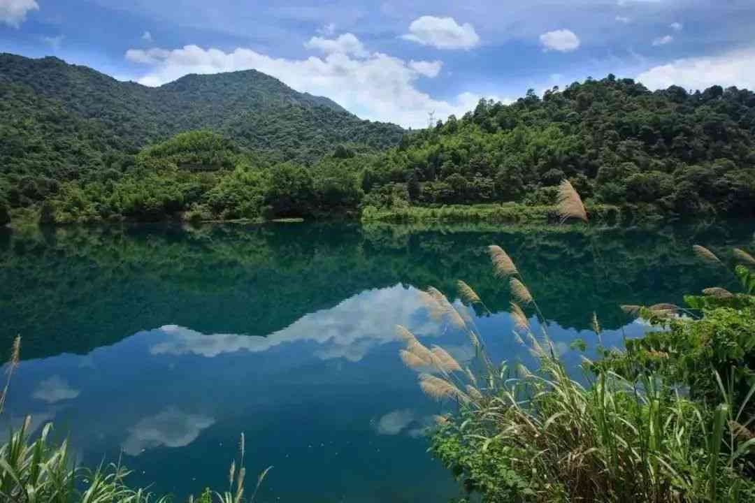 融合自然之美：景区深度解读与特色亮点配文指南