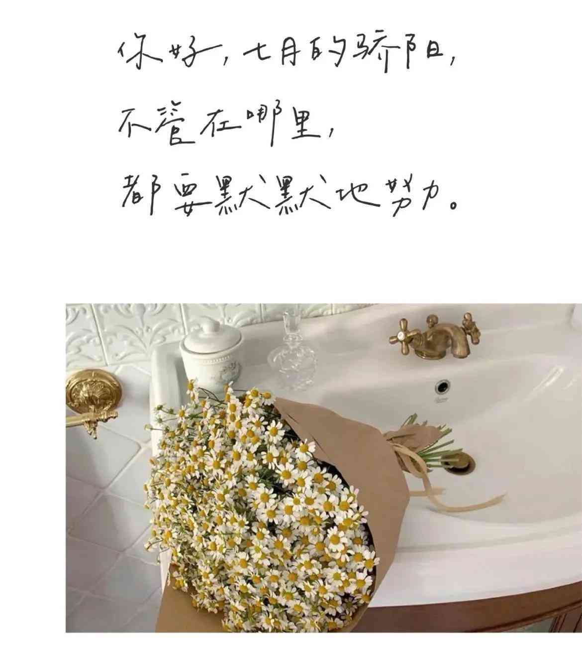 西瓜AI写作怎么提取文案：一键智能提取文章核心内容与关键信息