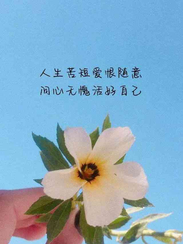 修改文案的ai小程序微信可以用吗：安全性与使用指南