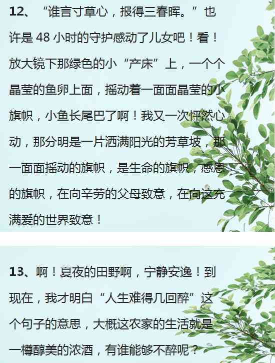 小学作文写作方法与技巧：归纳总结、PPT教程、类型解析及书推荐