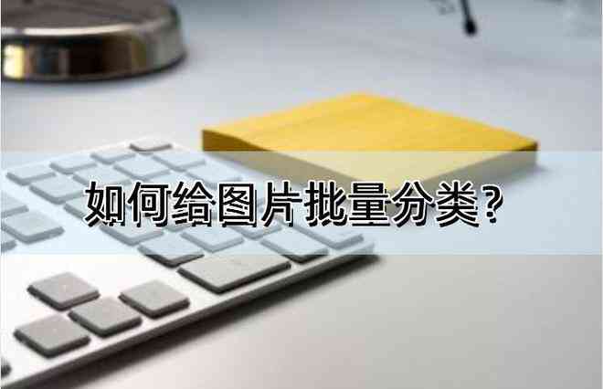 ai批量写作免费软件：推荐、热门软件盘点及CAT智能AI助手