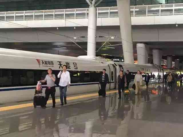 湖州AI语音调查报告：在线查阅报告指南