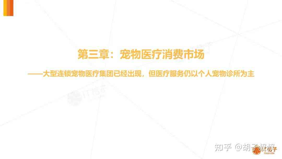 ai宠物市场分析报告怎么写：含宠物市场数据分析与宠物市场调研报告