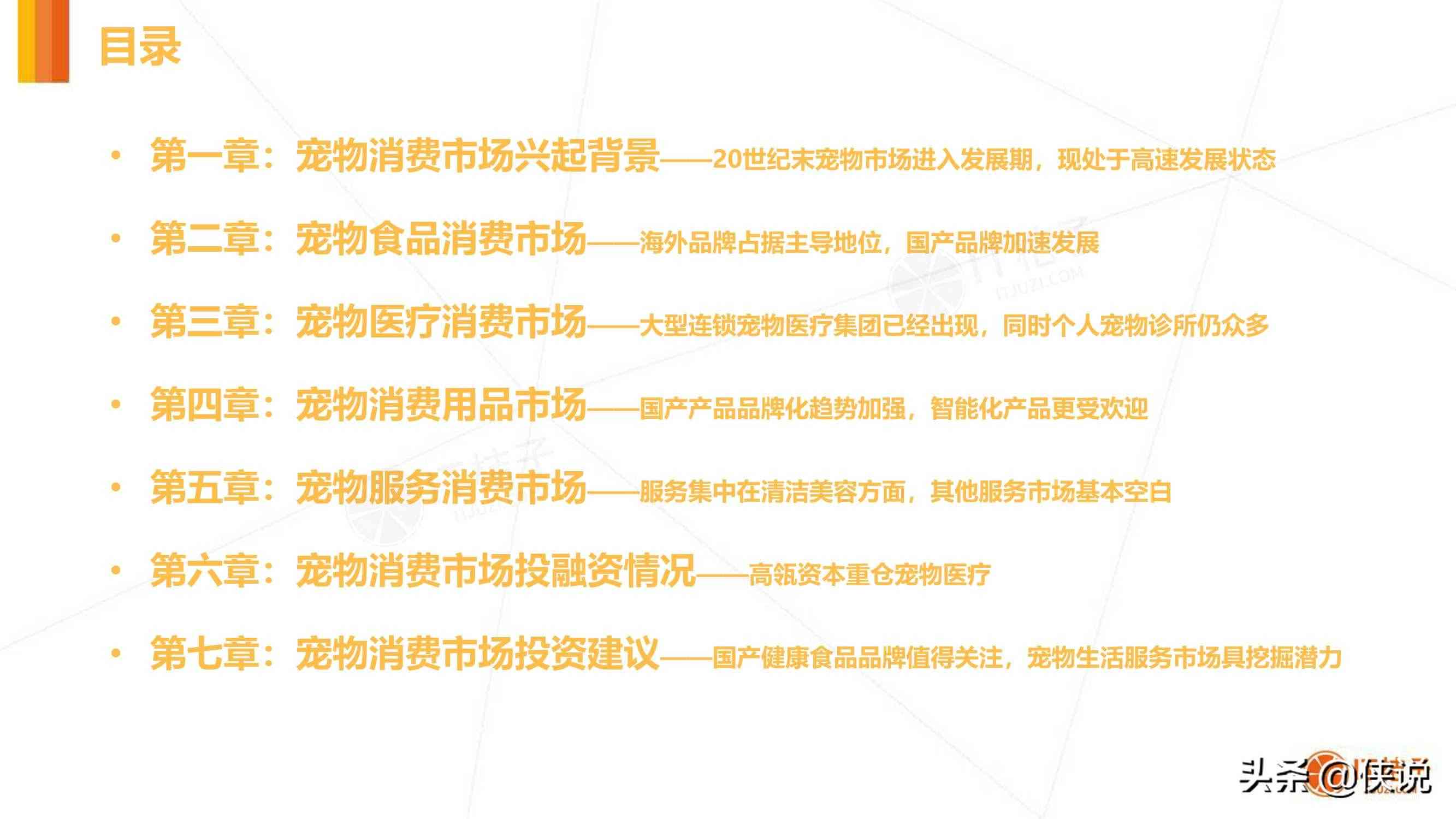 ai宠物市场分析报告怎么写：含宠物市场数据分析与宠物市场调研报告