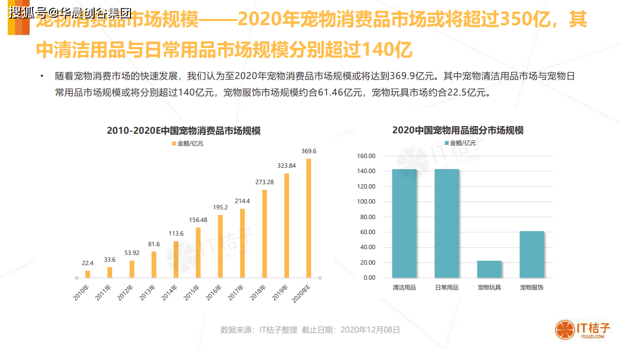 ai宠物市场分析报告怎么写：含宠物市场数据分析与宠物市场调研报告