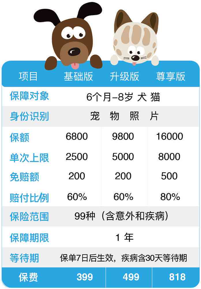 宠物市场数据分析：综合报告、可视化解构与论文探究