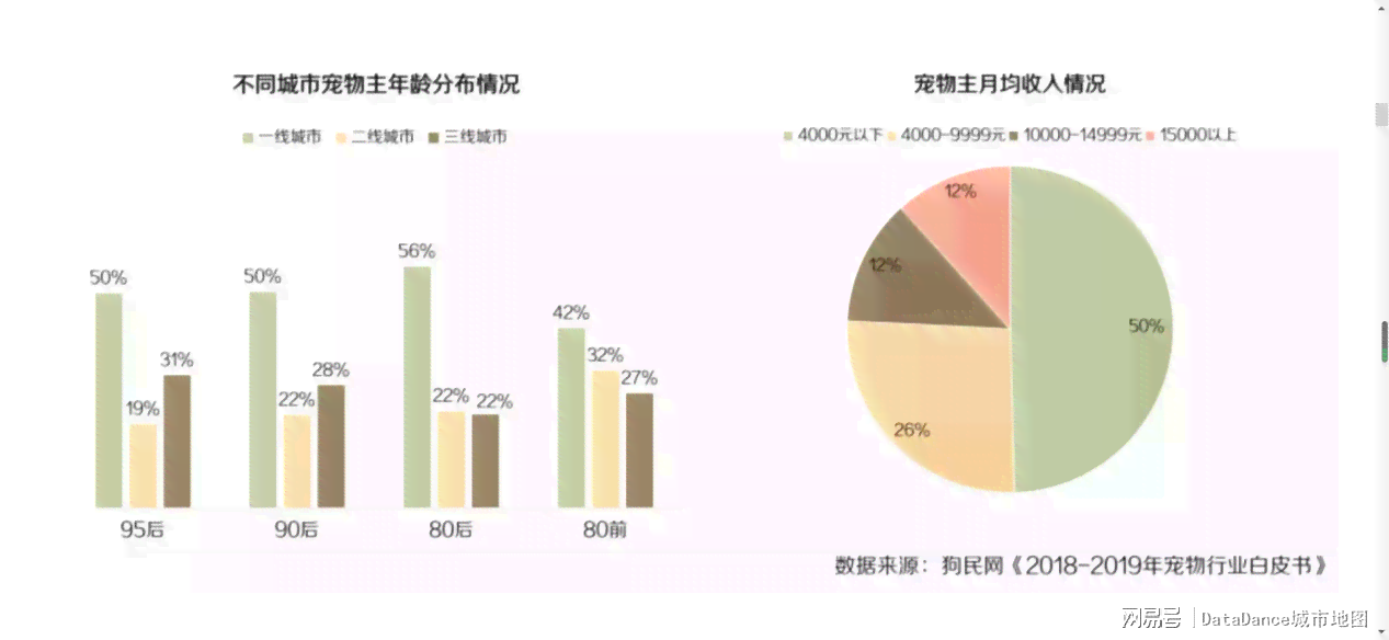 宠物市场数据分析：综合报告、可视化解构与论文探究