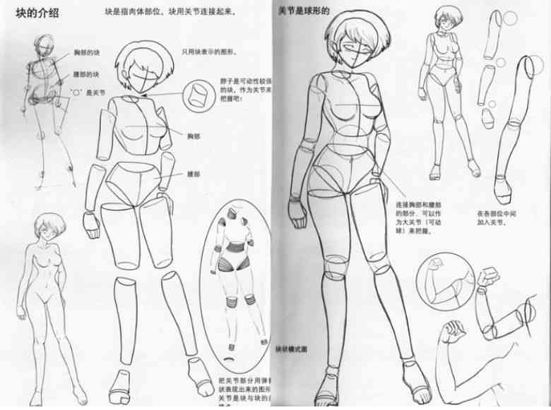 全面解析：动漫人物绘画教程与灵感搜集指南