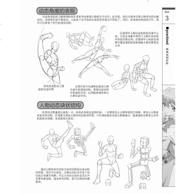 全面解析：动漫人物绘画教程与灵感搜集指南