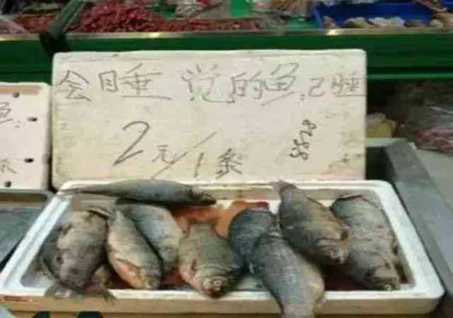 '爆笑子一键生成：幽默文案智能打造器'
