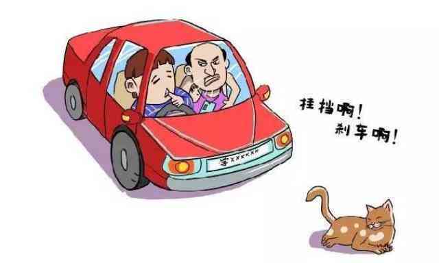 探索智能学车新体验：AI教练助力驾驶技能提升