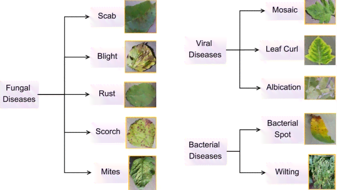 AI识别植物病虫害及模糊文字，助力精准识别病虫害与古文献