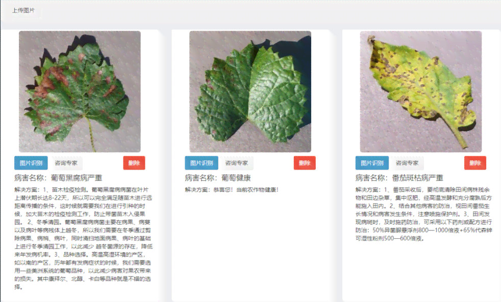 AI识别植物病虫害及模糊文字，助力精准识别病虫害与古文献