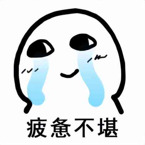 探秘秘塔写作猫收费标准及服务详情：全方位解析用户关注的费用与功能问题