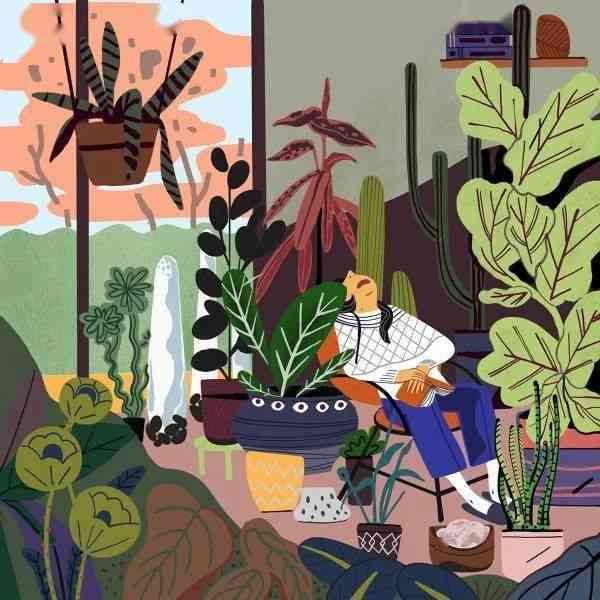 创意插画资源集：专业Illustration插画作品展示平台