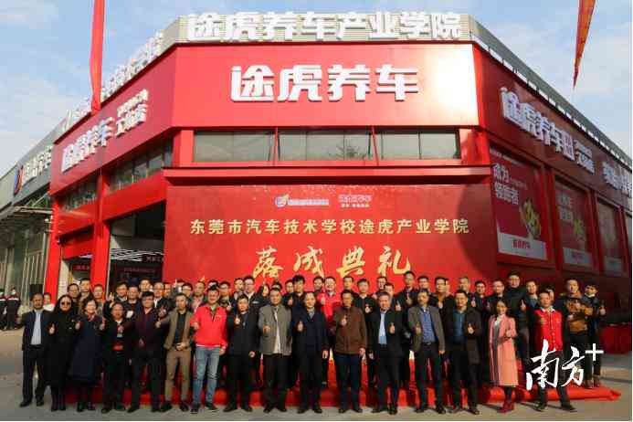 ai实训报告总结体会与感悟：综合实训心得与深刻感悟范文