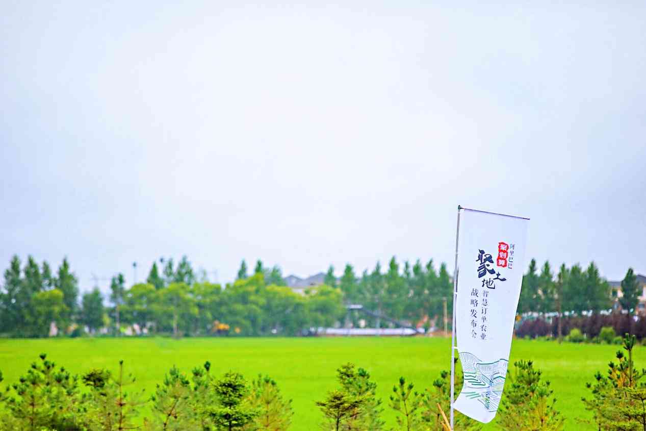 AI赋能：全方位攻略——如何利用人工智能撰写吸引用户的爆款产品标题文案