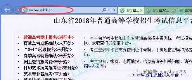 全面指南：从构思到实现，手把手教你编写手机游戏脚本