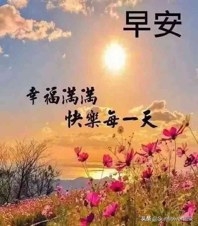 深入探索AI领域：全面解锁智能生活与文案创作的精彩短句指南